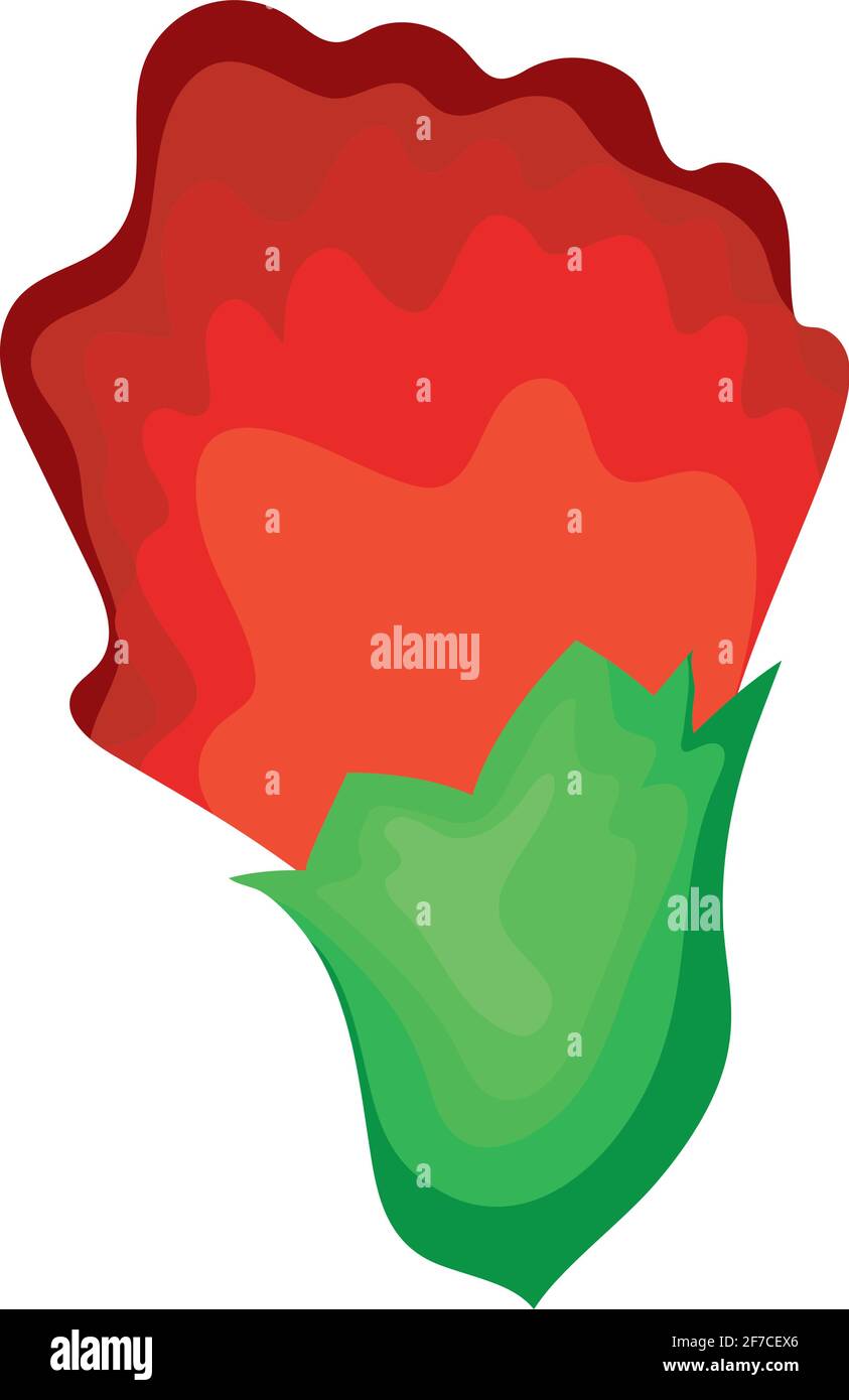 red rose isolated Stock Vector Image & Art - Alamy