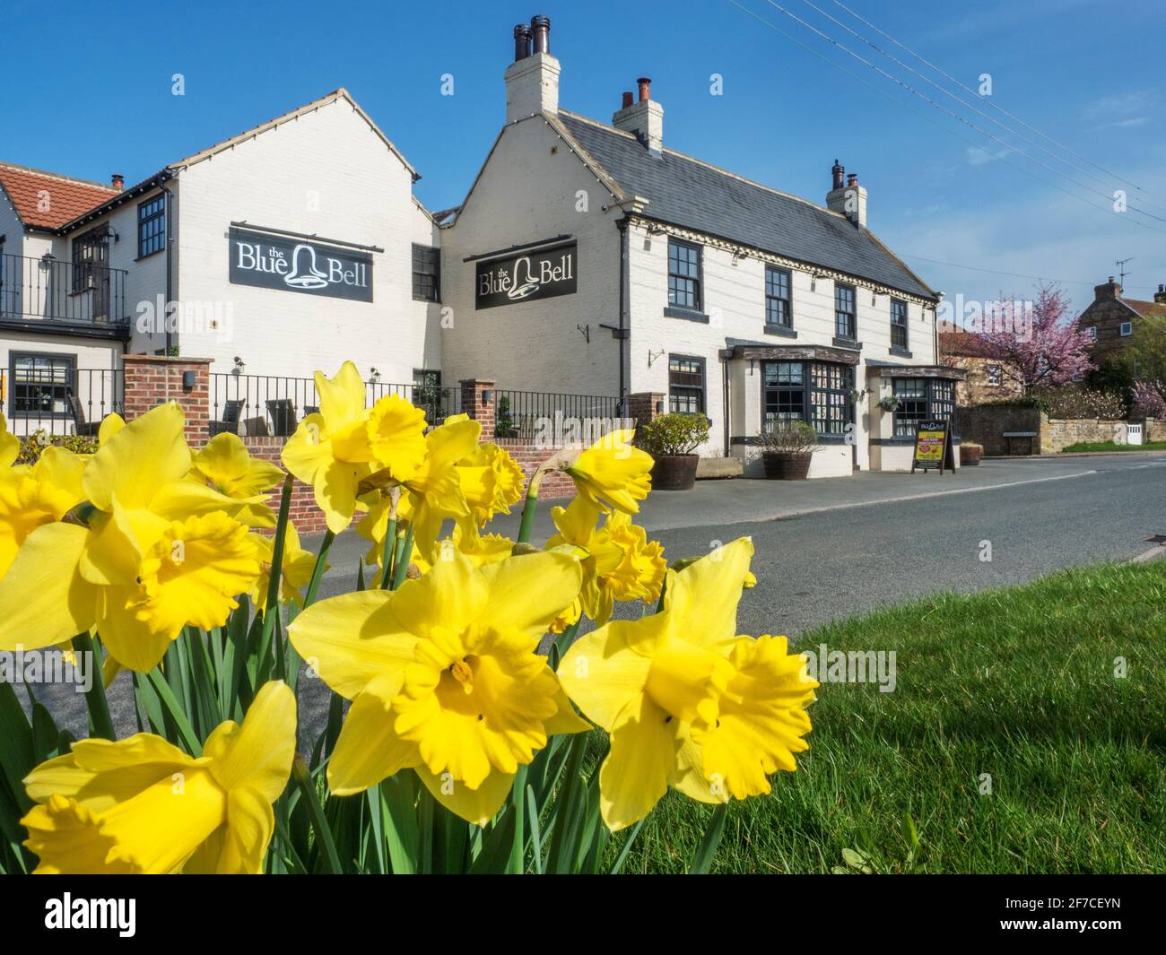 The Blue Bell public house in the village of Arkendale near Knaresborough North Yorkshire England Stock Photo