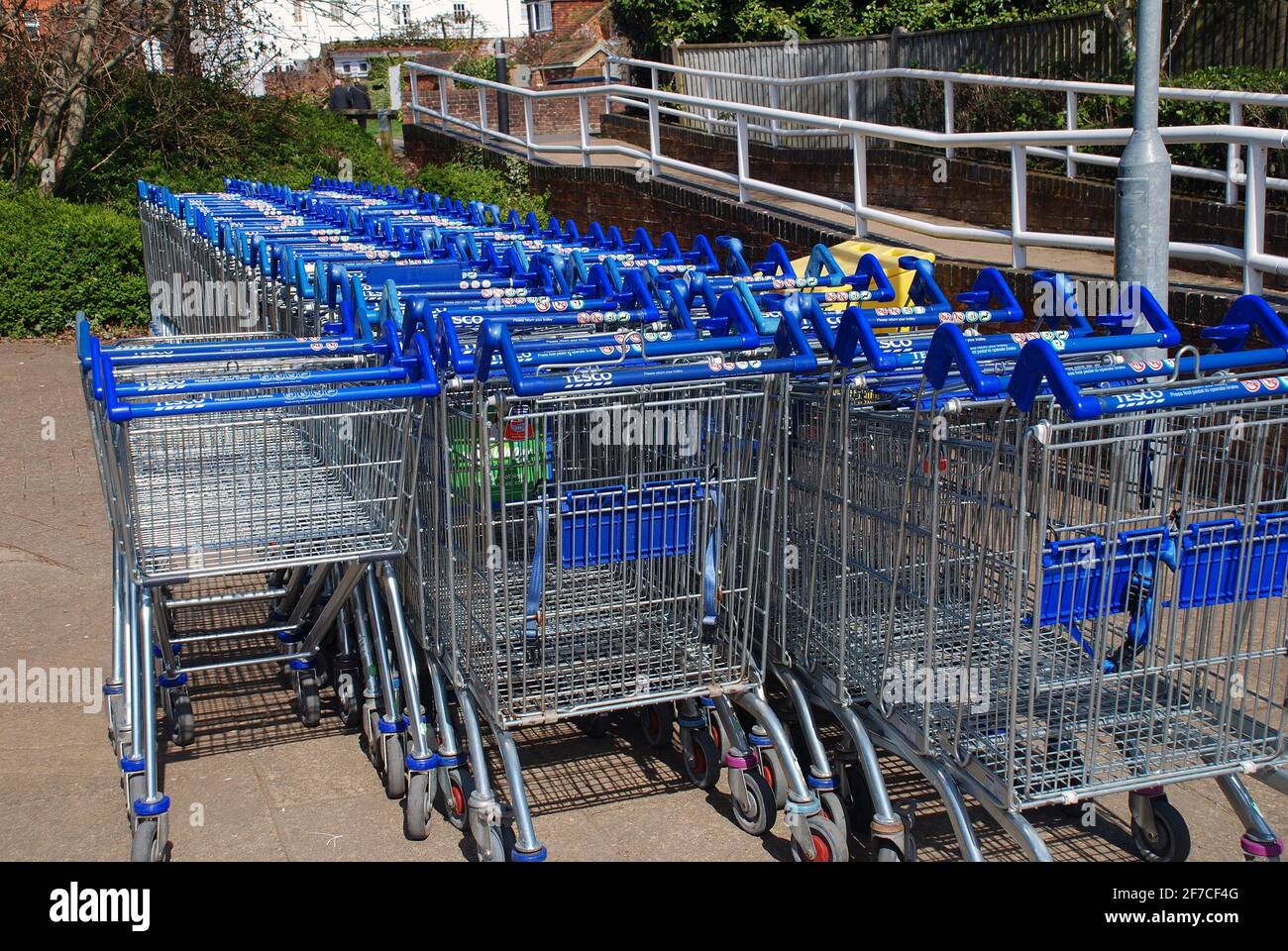 Tesco shopping trolley trolleys hires stock photography and images Alamy