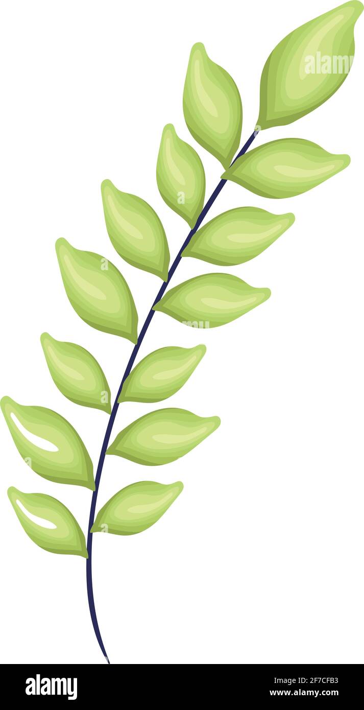 green leaves illustration Stock Vector Image & Art - Alamy