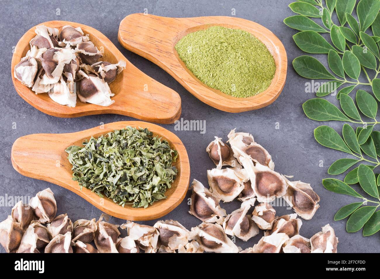 Leaves, powder and moringa seeds. Moringa nutritional supplement ...