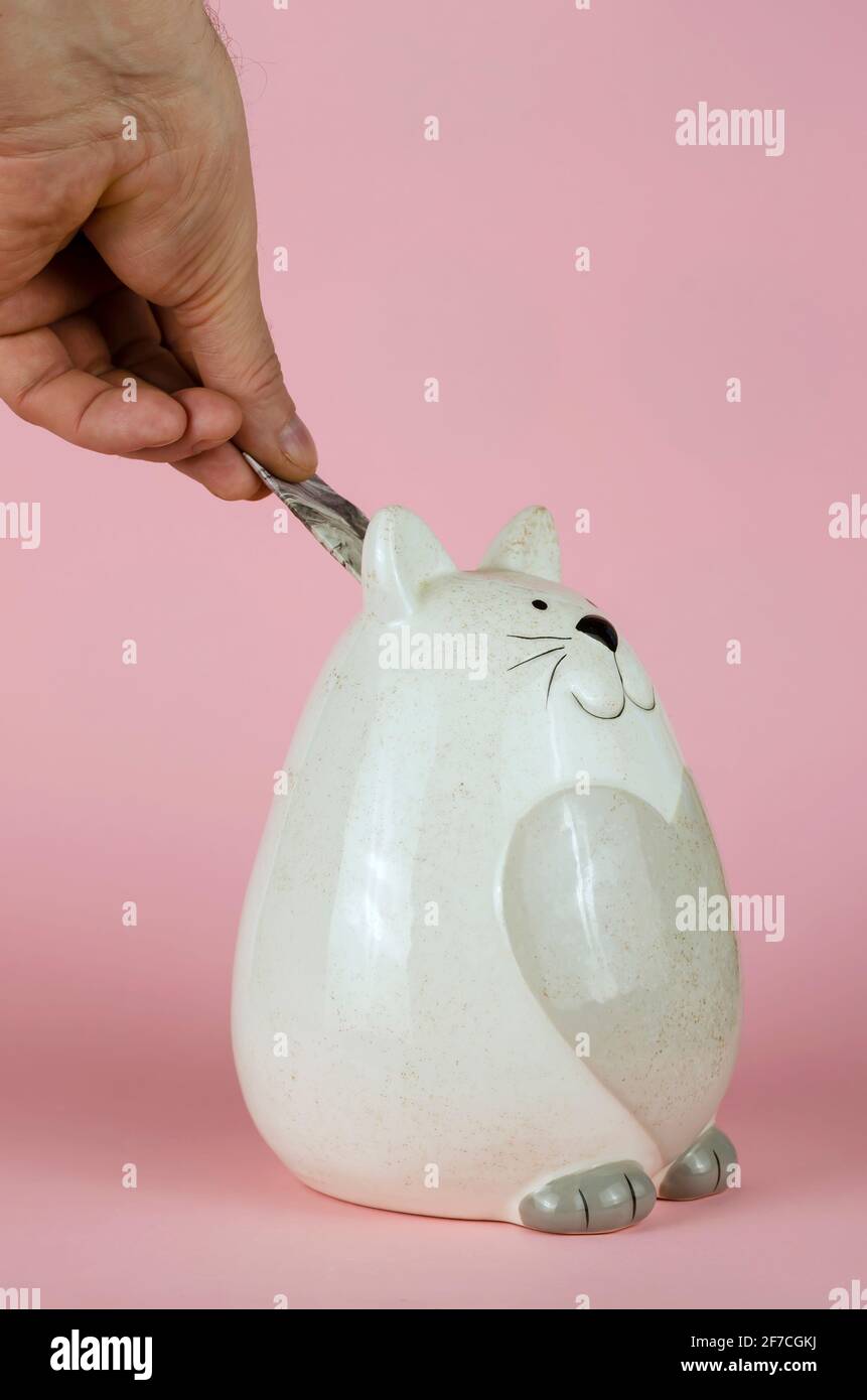 Cat penny clearance bank