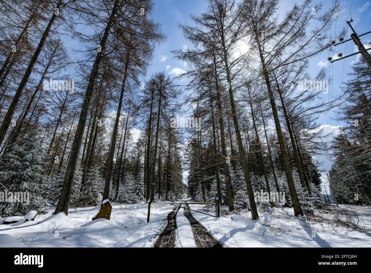 Illustration shows  a snowy landscape in Houffalize, Ardennes, Tuesday 06 April 2021. BELGA PHOTO BRUNO FAHY Stock Photo