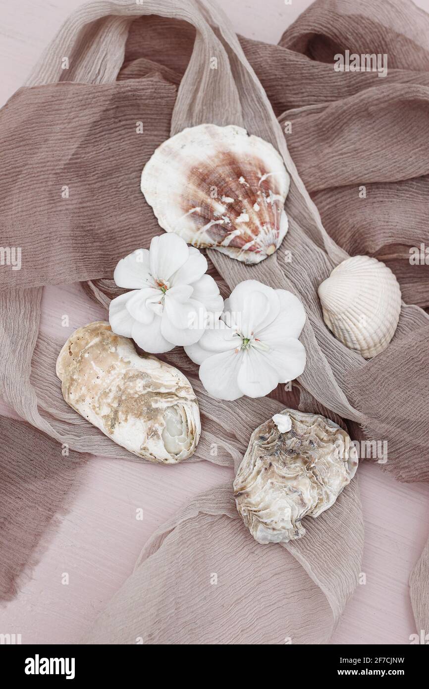 Summer feminine still life scene. Beige silk ribbons and scarves, white geranium flowers. Sea shells on pastel wooden table, background. Vertical flat Stock Photo