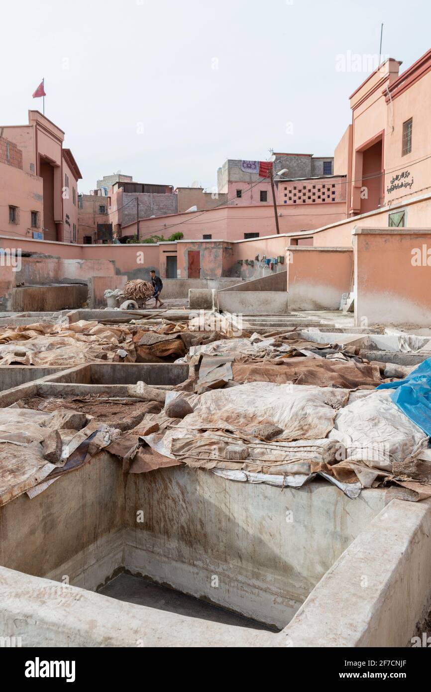 Insight into the work at the tanneries of Marrakech, Morocco Stock Photo
