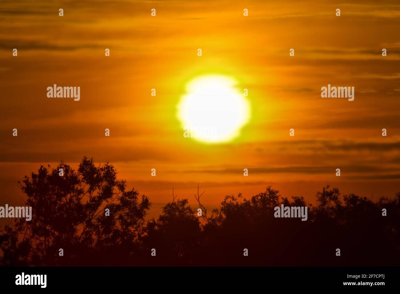The shortest night hires stock photography and images Alamy
