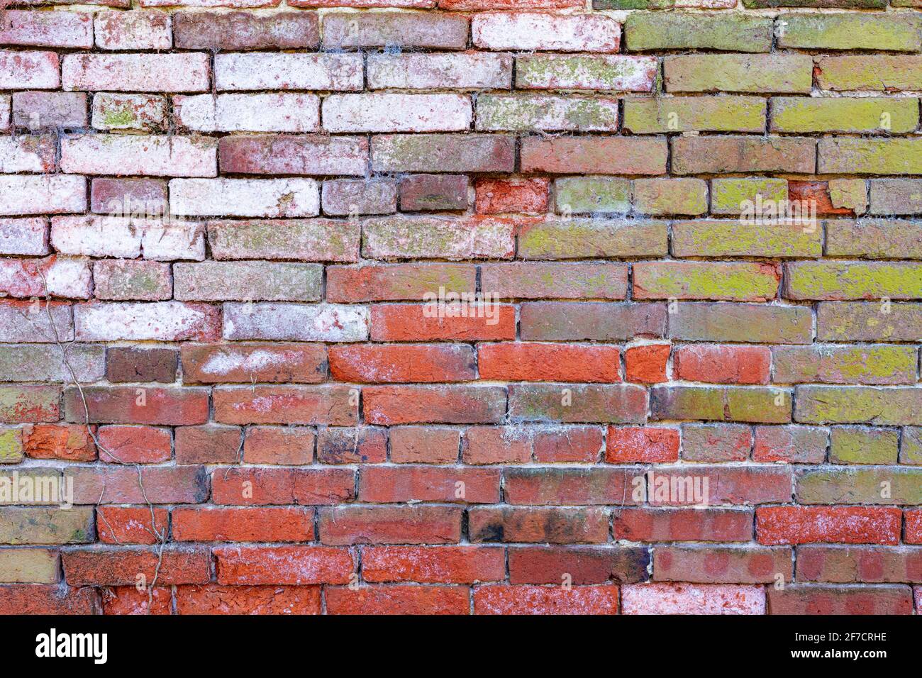 multicoloured Brick wall background variety of bricks brick wall made with old reclaimed bricks High resolution high quality photo Stock Photo