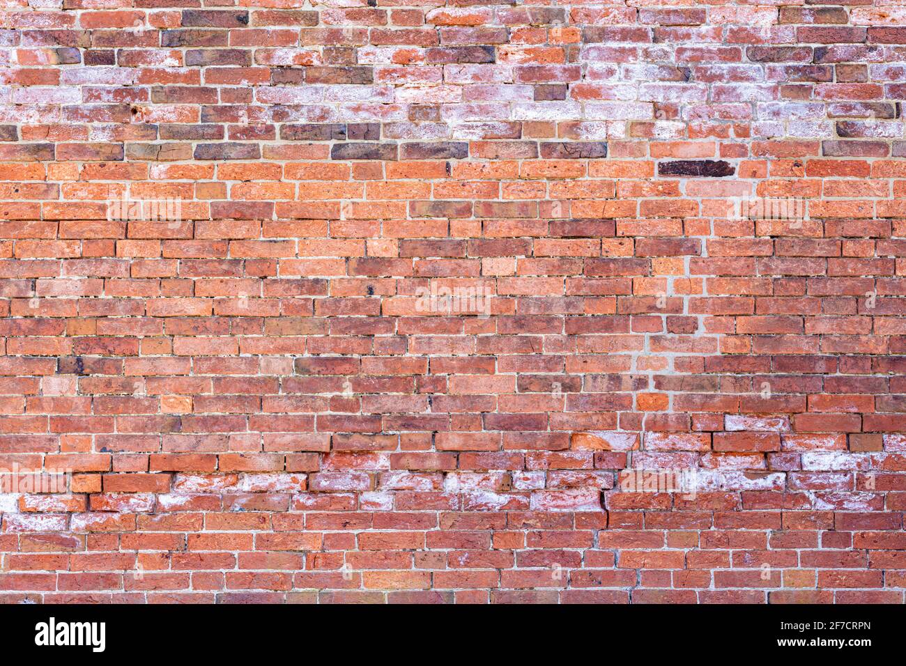 Brick wall background variety of bricks brick wall made with regular new house bricks High resolution high quality photo Stock Photo