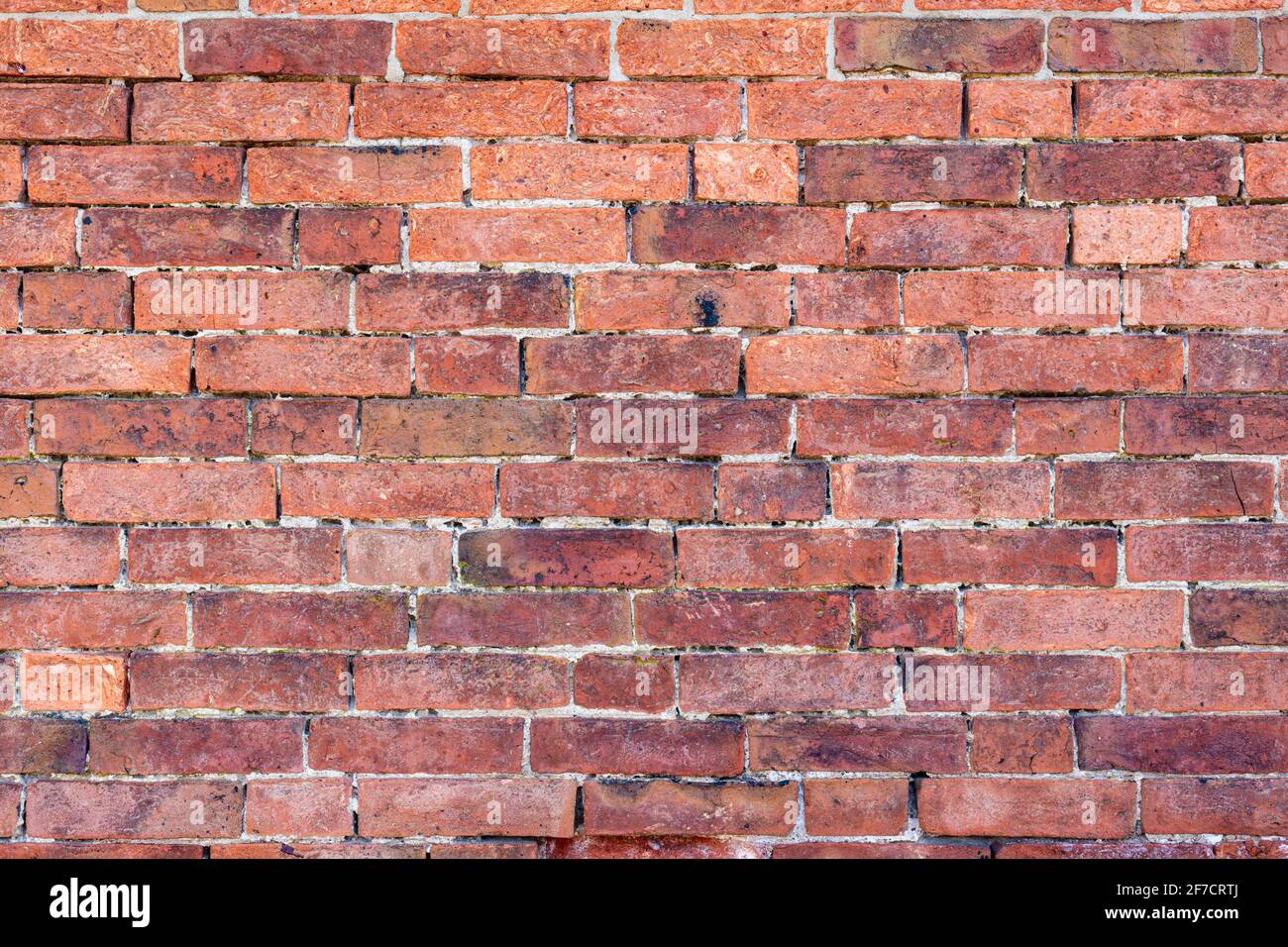 Brick wall background variety of bricks brick wall made with regular