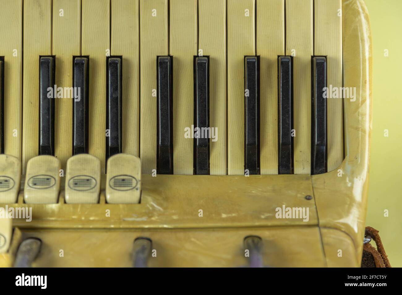 clipping of an old 120 bass musical accordion. Wind musical instrument