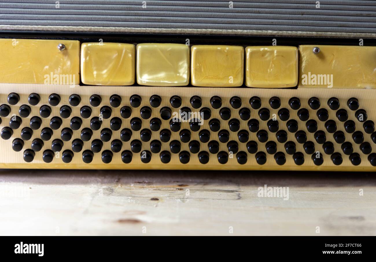 clipping of an old 120 bass musical accordion. Wind musical instrument