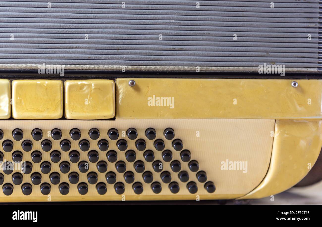 clipping of an old 120 bass musical accordion. Wind musical instrument