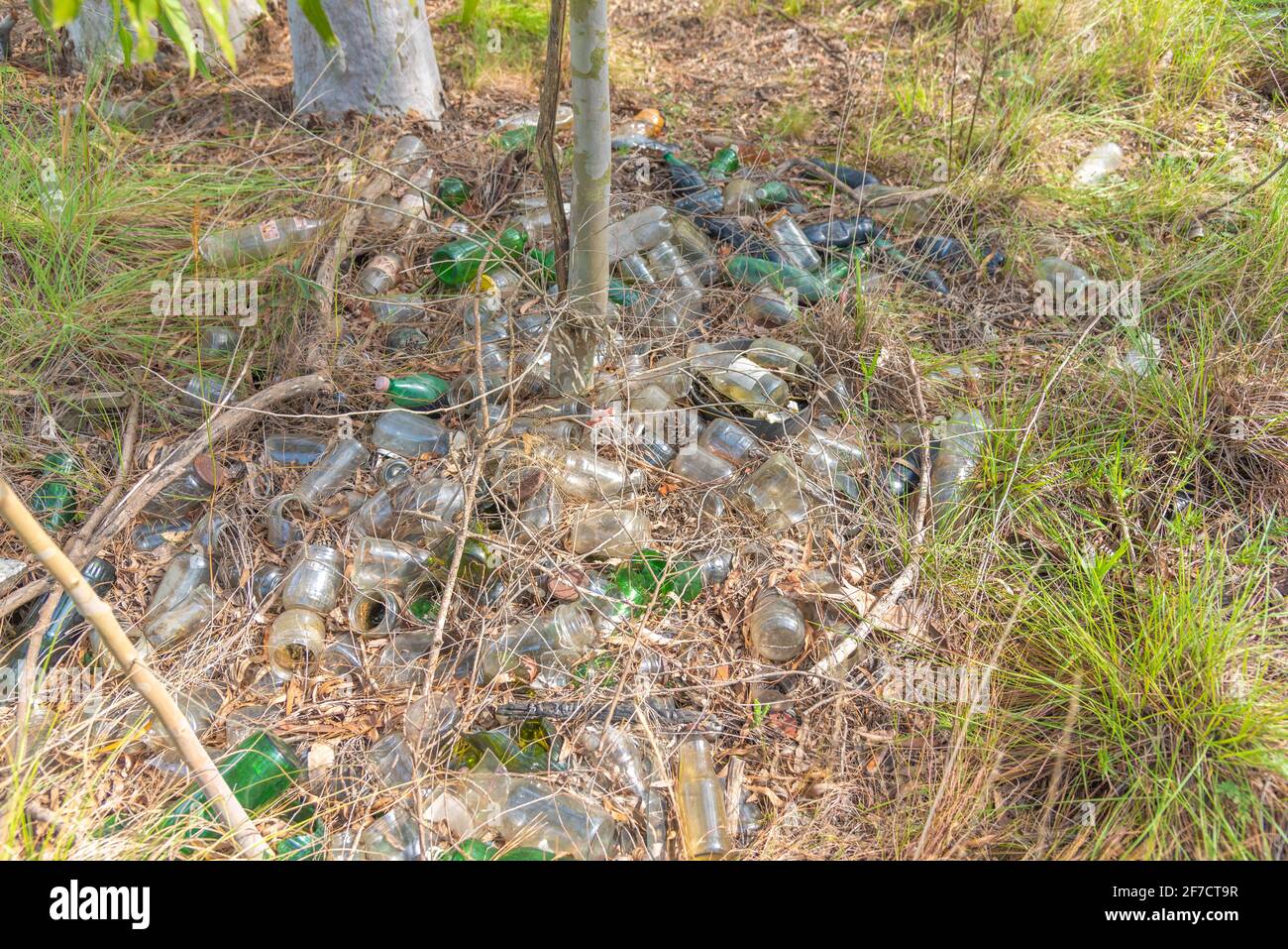 Irregular disposal of glass containers in the environment