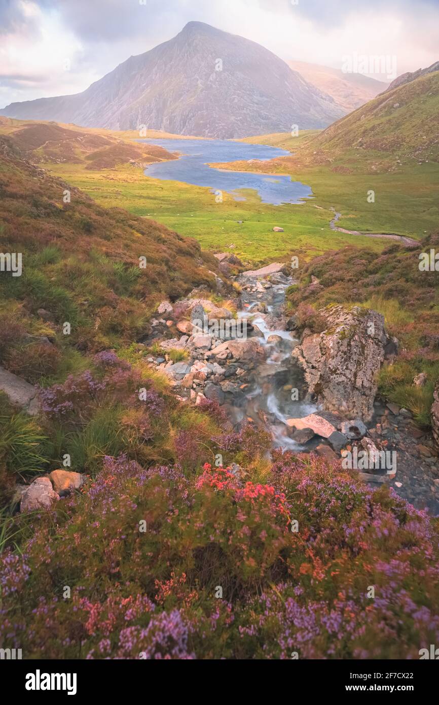 Dramatic, colourful landscape at Cwm Idwal in the Gyderau mountains of Snowdonia National Park in North Wales during sunset or sunrise. Stock Photo