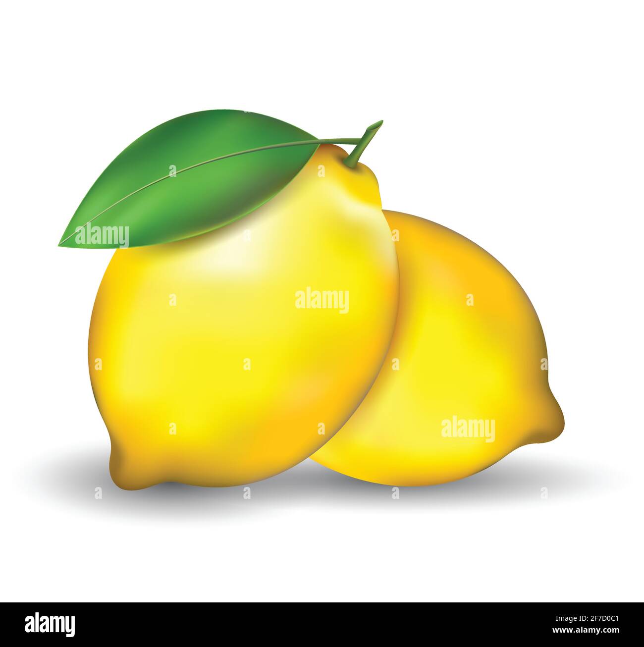 Lemon illustration isolated on white background. Lemon vector. Stock Vector