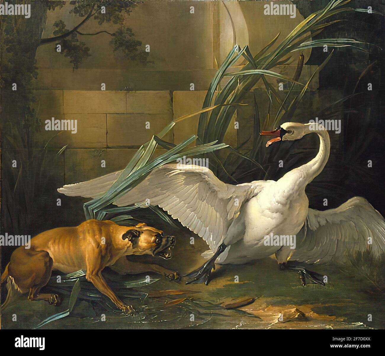 Swan and dog hi-res stock photography and images - Page 2 - Alamy