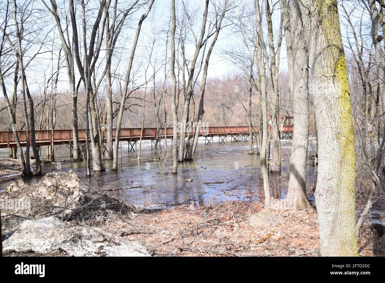Ecological park hi-res stock photography and images - Alamy