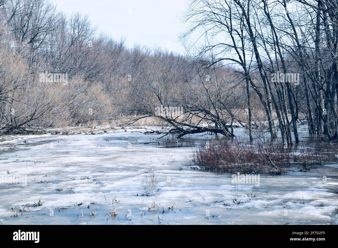 Ecological park hi-res stock photography and images - Alamy