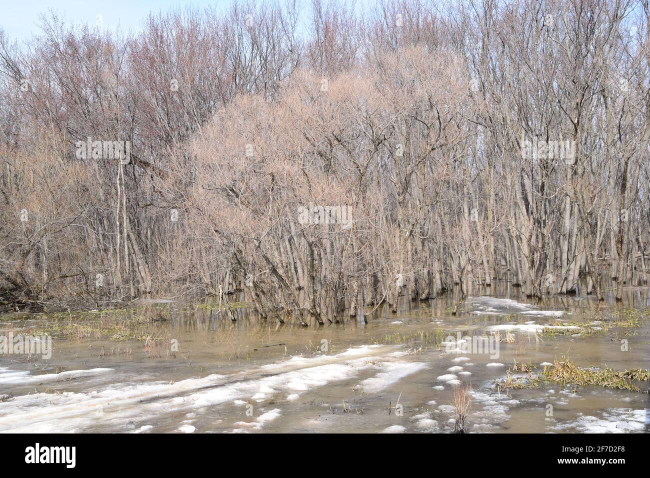 Ecological park scenery hi-res stock photography and images - Alamy