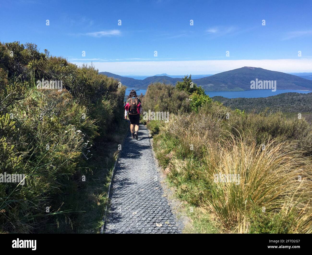 Hiking the Ketetahi End of Tongariro National Park, New Zealand Stock ...