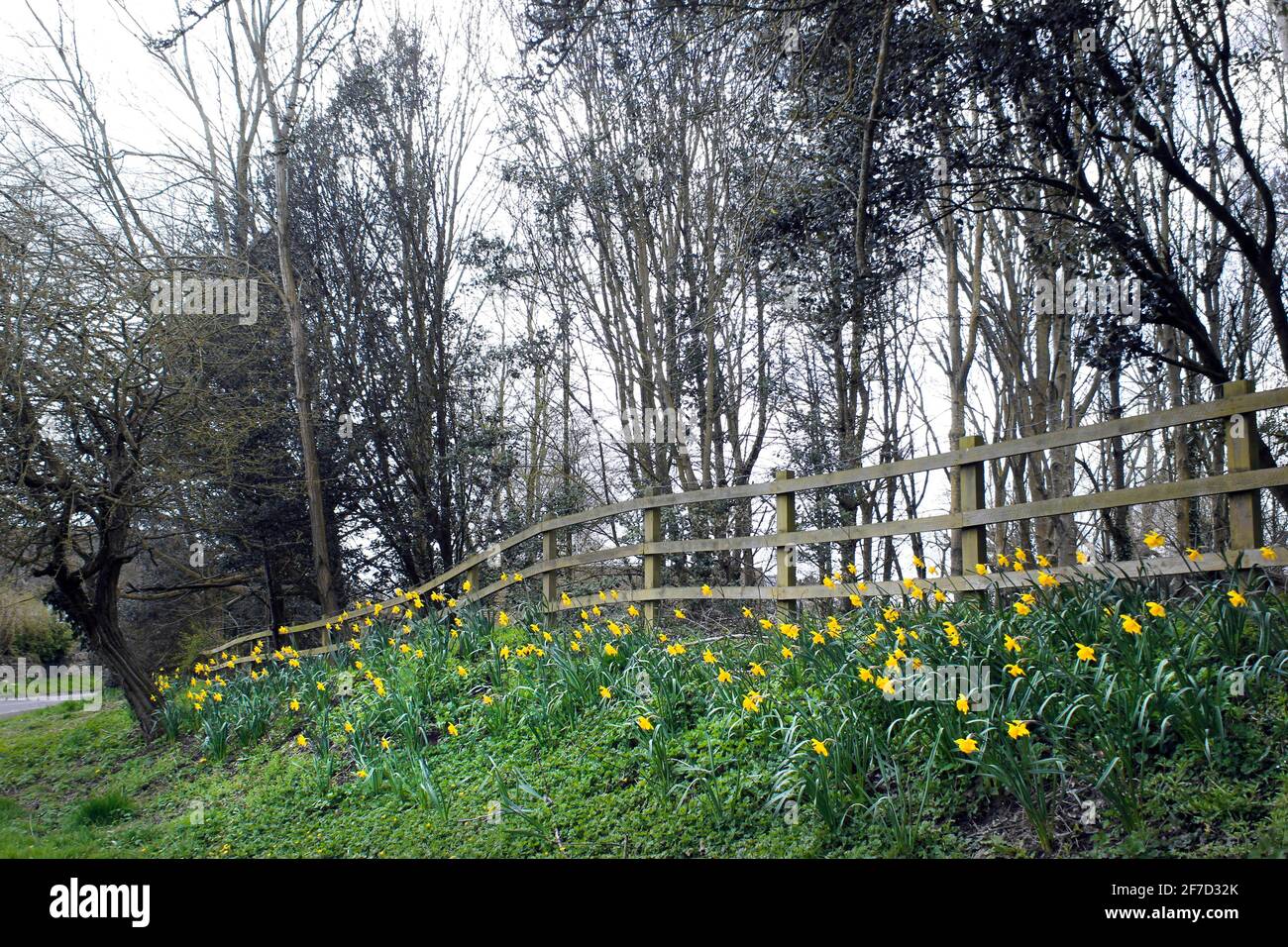 Green grass verge hi-res stock photography and images - Alamy