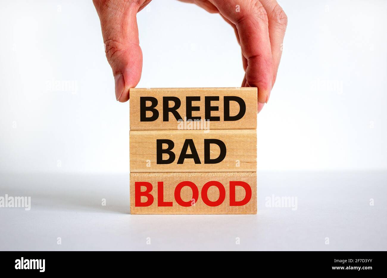 Breed bad blood symbol. Businessman holds wooden block with words