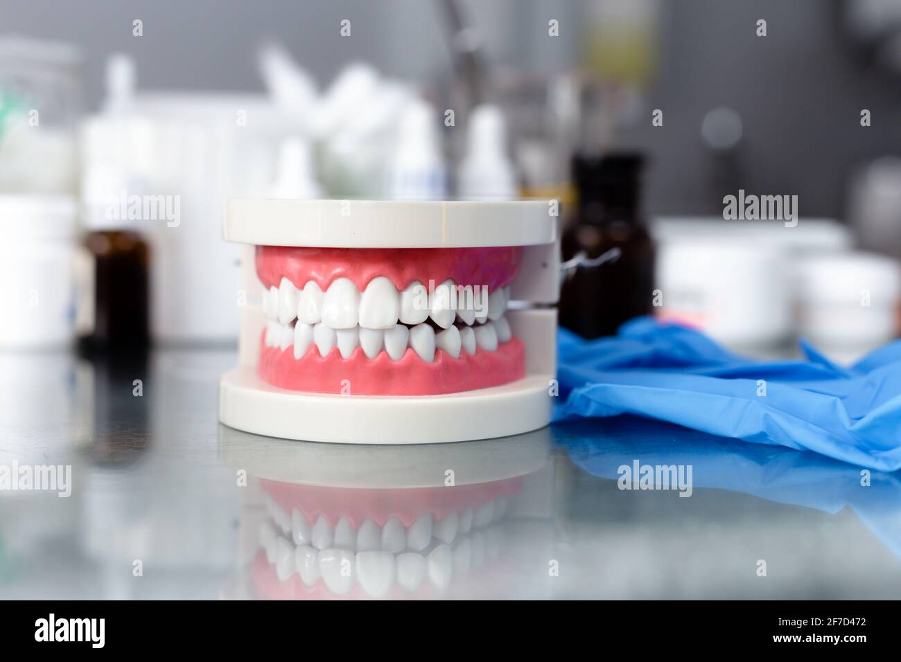 Mock up jaw with teeth on table in dental office Stock Photo
