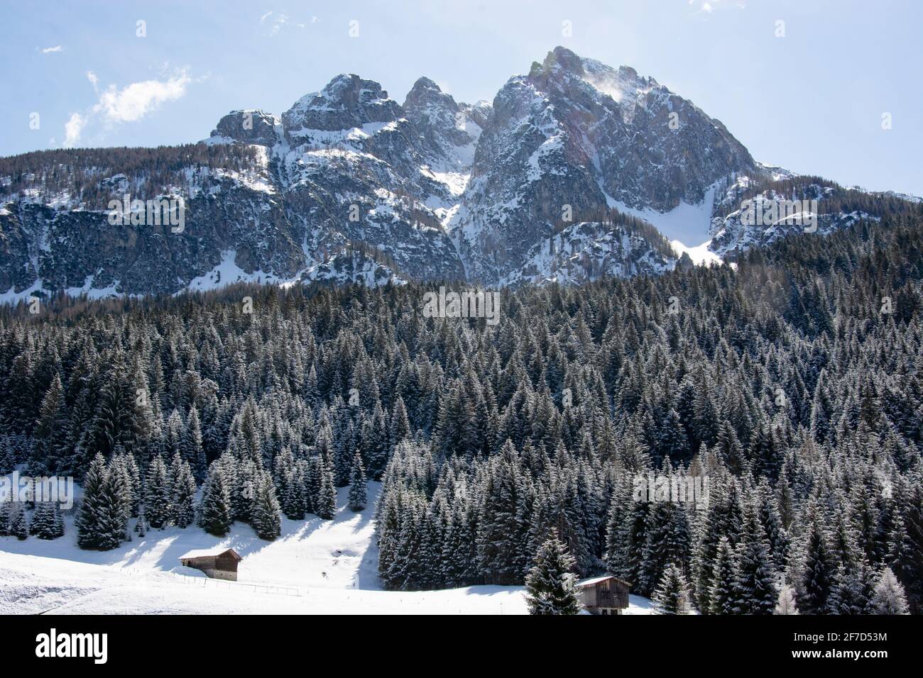 a big snowfall on the mountains of Sappada in Friuli Venezia Giulia Stock Photo
