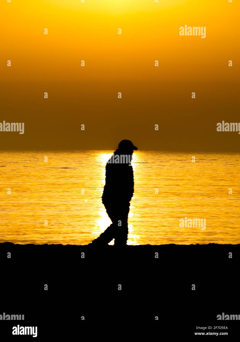 Silhouette of a man walking at sunset or sunrise on the beach Stock ...