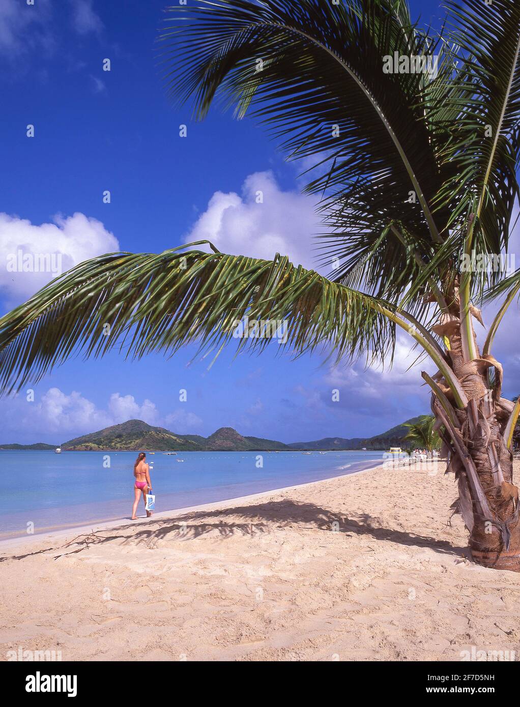 Beach view, Jolly Beach Resort & Spa, Saint Mary’s Parish, Antigua, Antigua and Barbuda, Lesser Antilles, Caribbean Stock Photo