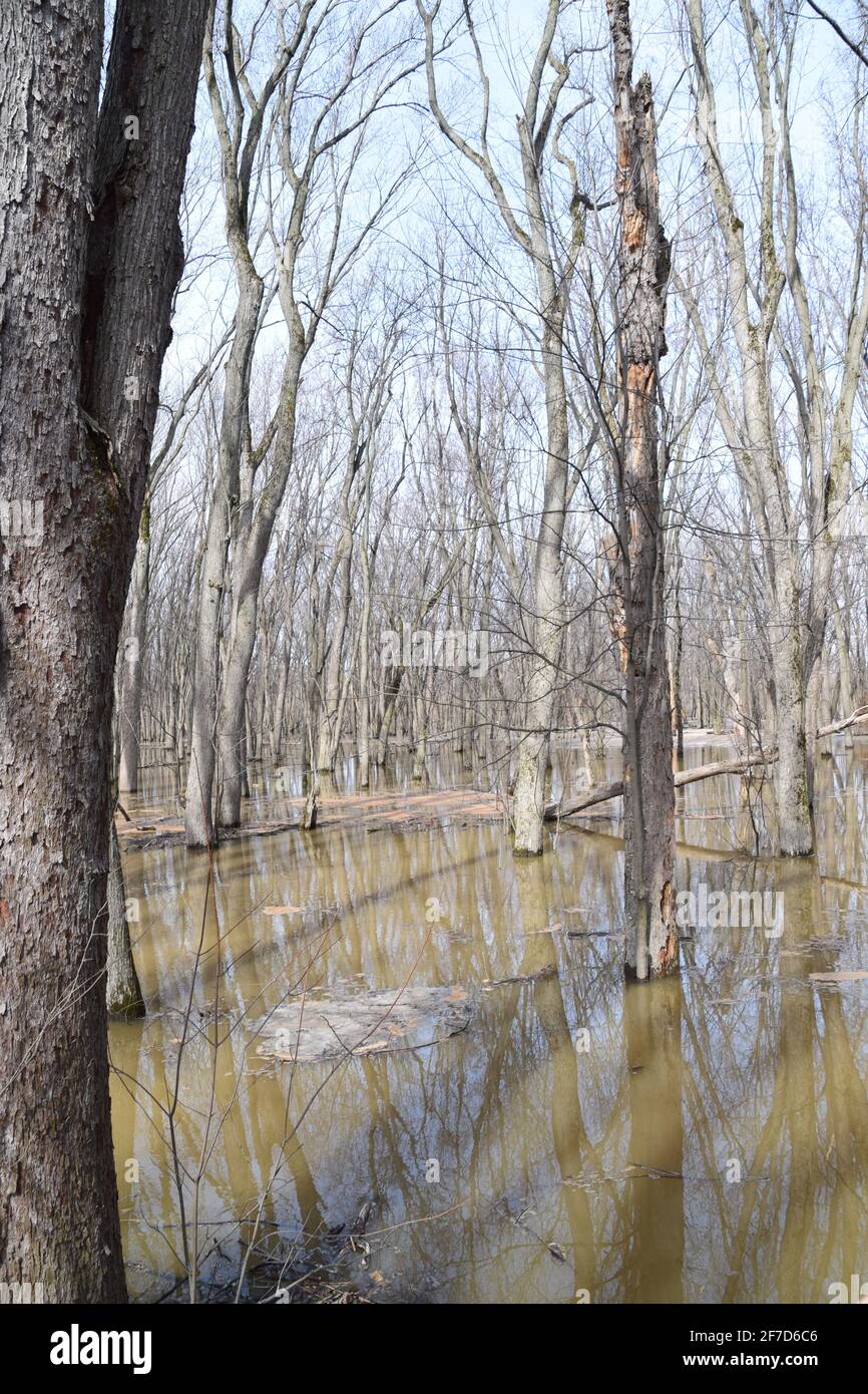 Anse au Port ecological park during a flood. Located near Trois
