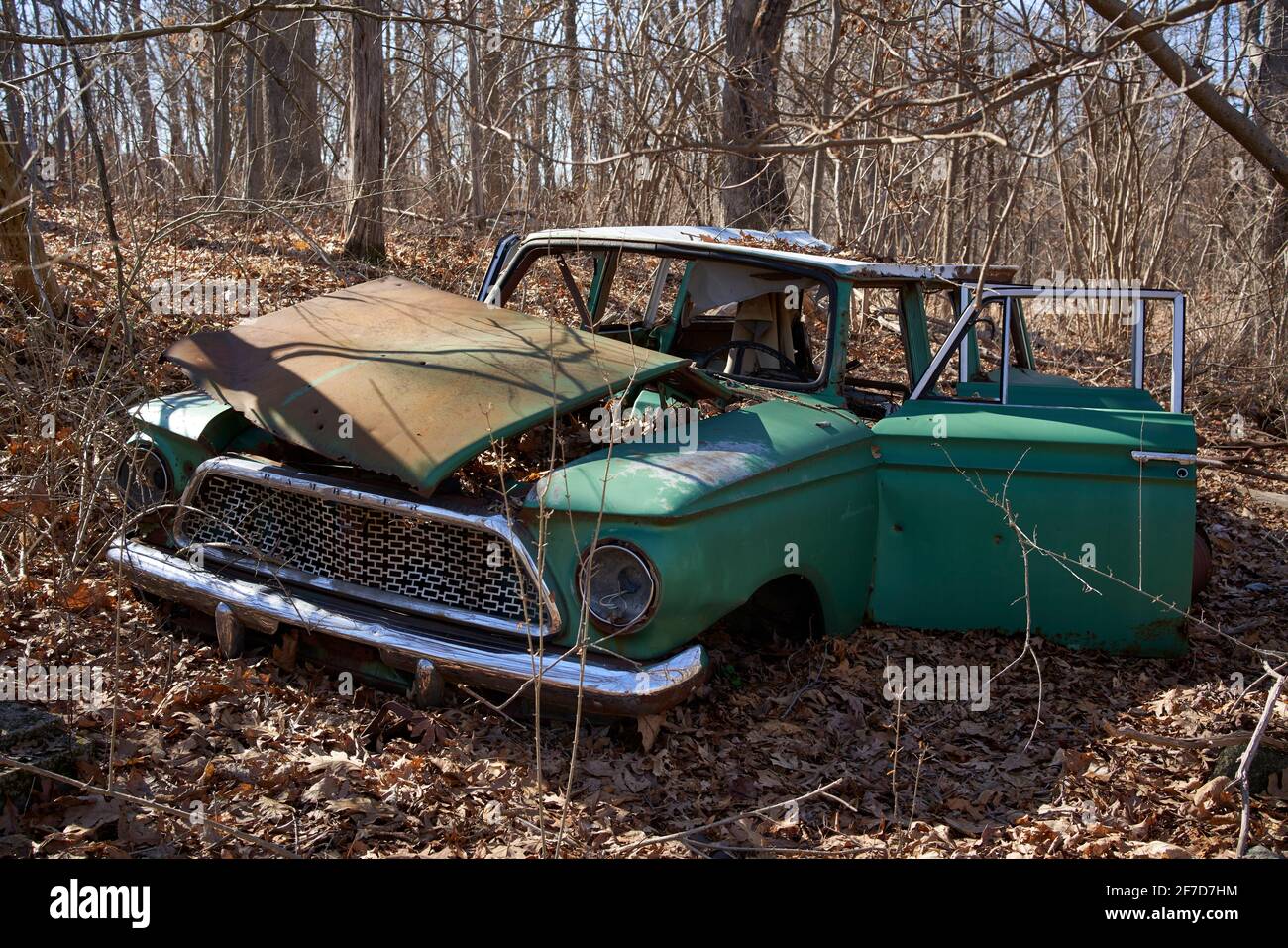 AMC Rambler Oldtimer American car wreck abandoned and dumped in the woods. Stock Photo