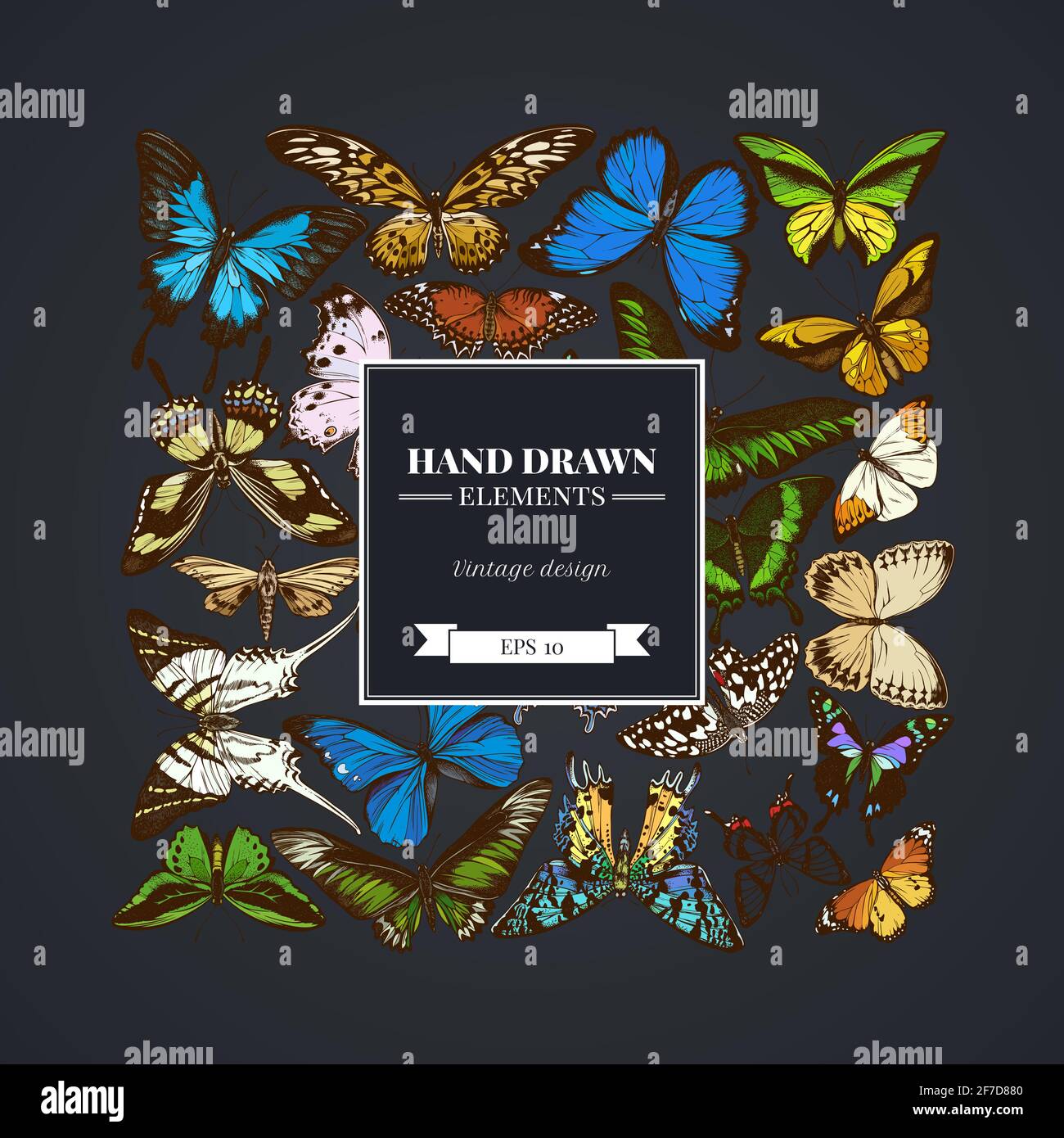 Square design on dark background with great orange-tip, emerald swallowtail, jungle queens, plain tiger, rajah brooke s birdwing, papilio torquatus Stock Vector