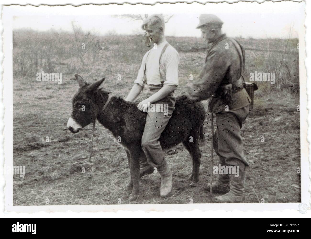 soldats nde la waffen SS sur un âne durant la campagne de Russie Stock Photo