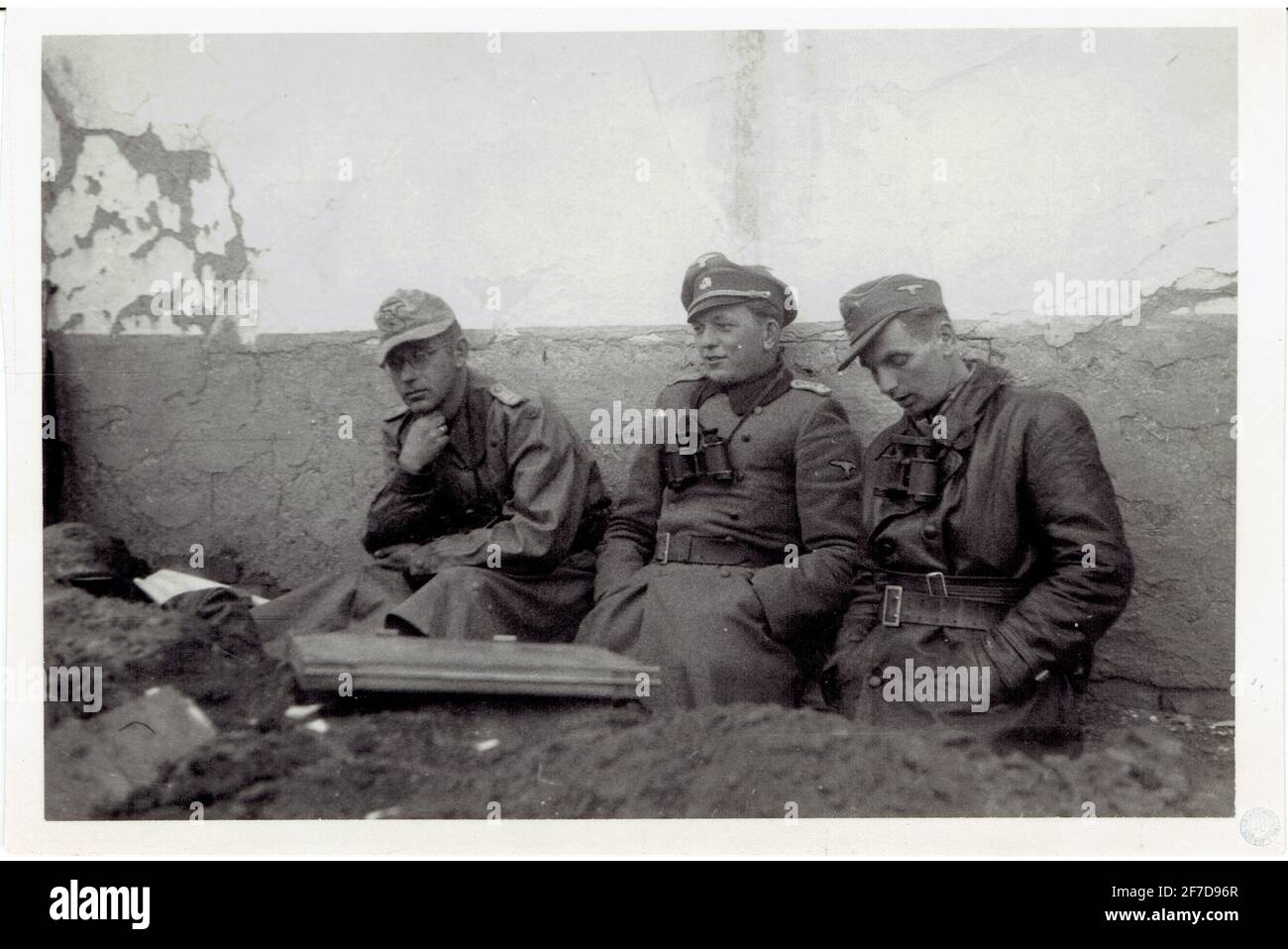 officiers de la waffen SS sur le front russe en 1941 Stock Photo