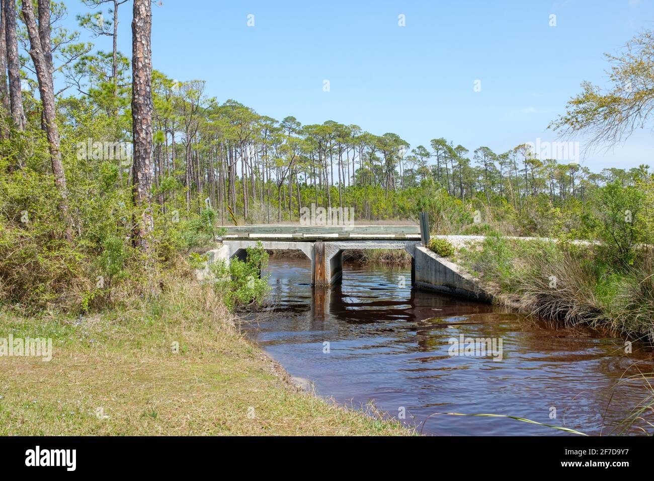 Bridge over water and edge of pine forest in Bon Secour National Wildlife Refuge in Gulf Shores, Alabama, USA Stock Photo