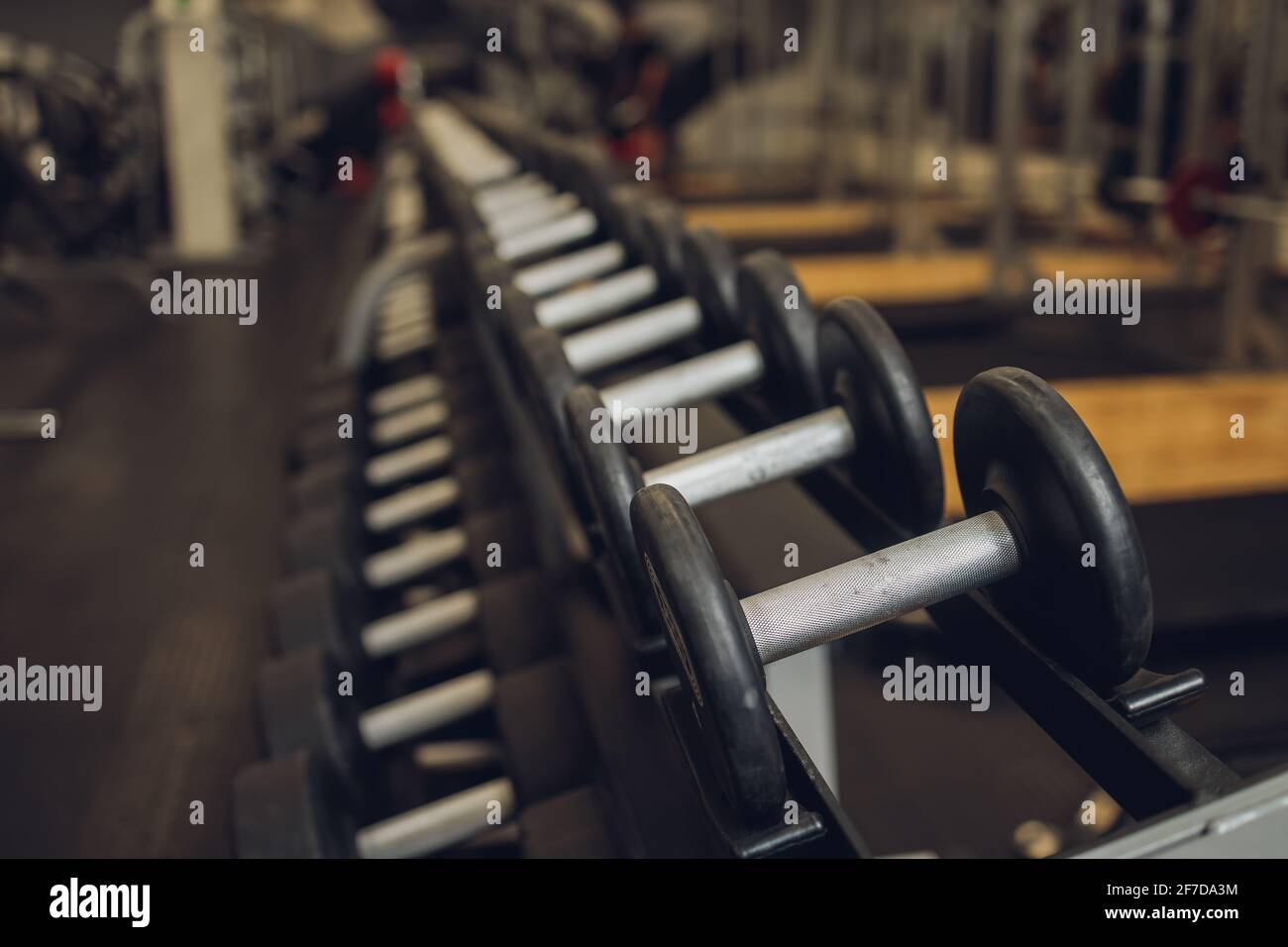 fitness, sport, exercising, weightlifting and bodybuilding concept ...