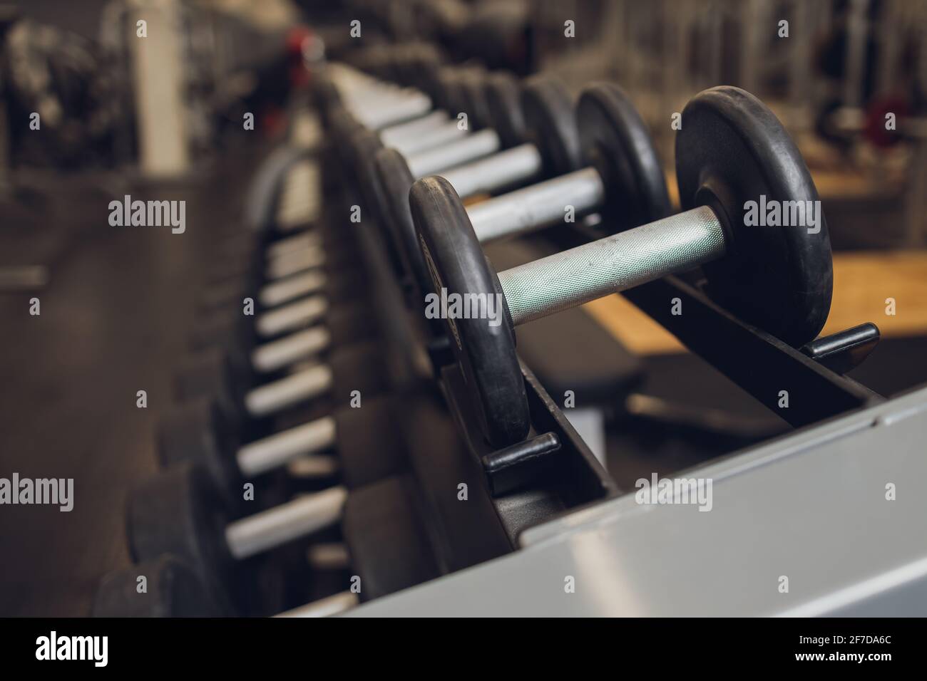 fitness, sport, exercising, weightlifting and bodybuilding concept ...