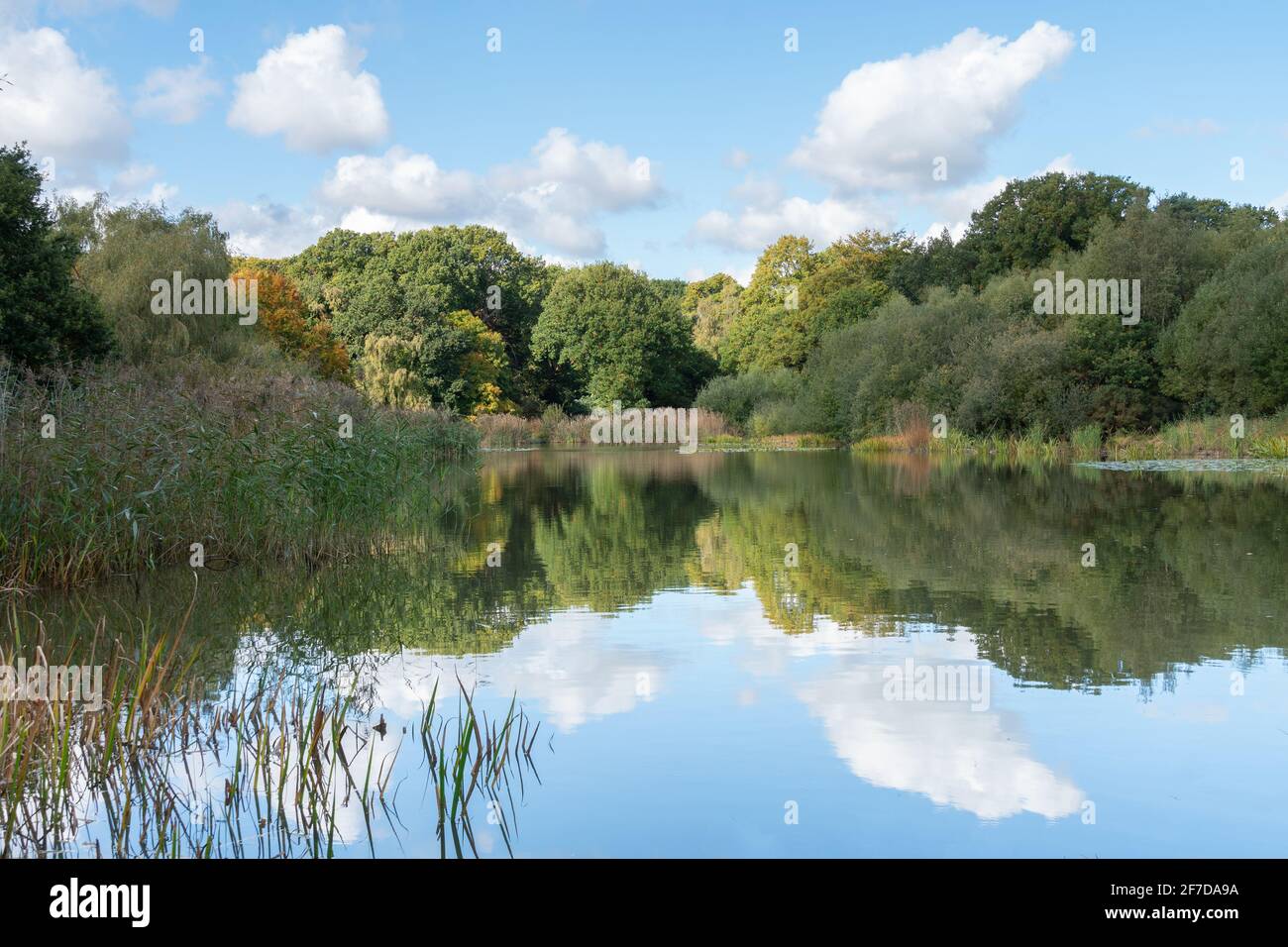 The Ornamental Lake, Southampton Common Stock Photo Alamy