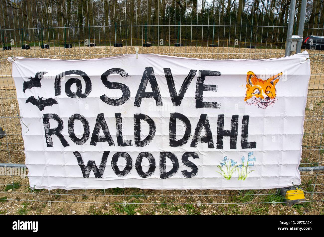 Aylesbury Vale, UK. 6th April, 2021. A Save Roald Dahl Woods banner. HS2 have started felling the much loved Jones Hill Wood today and were putting tree limbs and all their inhabitants straight through wood chippers today.  Local children's author Roald Dahl is said to have got his inspiration for the children's novel, The Fantastic Mr Fox by walking in this ancient woodland. Environmentalists are furious that Natural England have granted the licence to HS2 to fell the woodland despite there being rare barbastelle bats living in the woods. The controversial and massively over budget High Speed Stock Photo