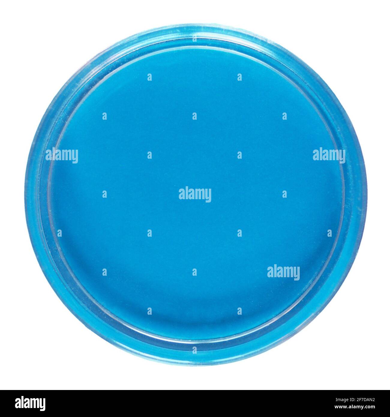 A Petri dish (aka Petrie dish, Petri plate or cell culture dish) cylindrical glass or plastic lidded dish used to culture cells such as bacteria or mo Stock Photo