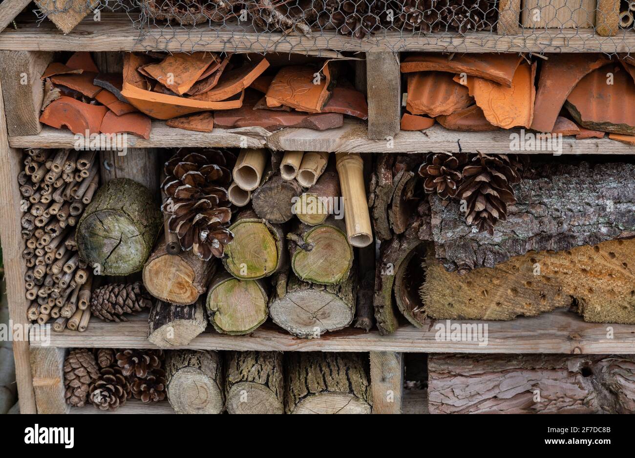 An insect house built to provide homes for bugs and mini beasts. Stock Photo