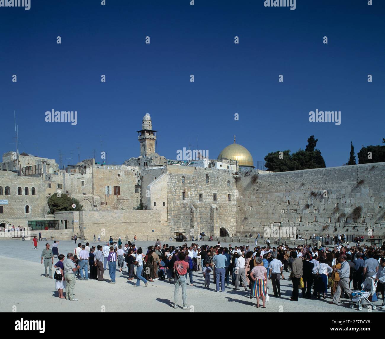 My Image 9