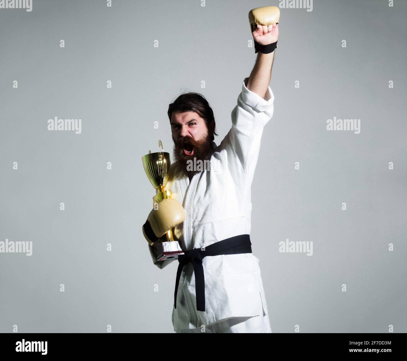 Funny karate man caucasian hipster in white kimono with black belt and  boxing gloves with shouting happy face holds gold champion cup, isolated on  Stock Photo - Alamy