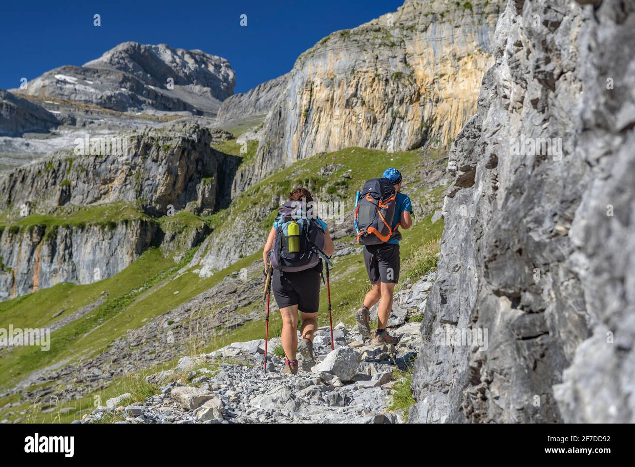 Free Images : walking, mountain, hiking, trail, adventure, backpack, hike,  ridge, spain, sports, backpacking, backpackers, yellow flowers, pyrenees,  torla, ordesa national park, outdoor recreation, ultramarathon, mother  inlaws pillow plant in bloom