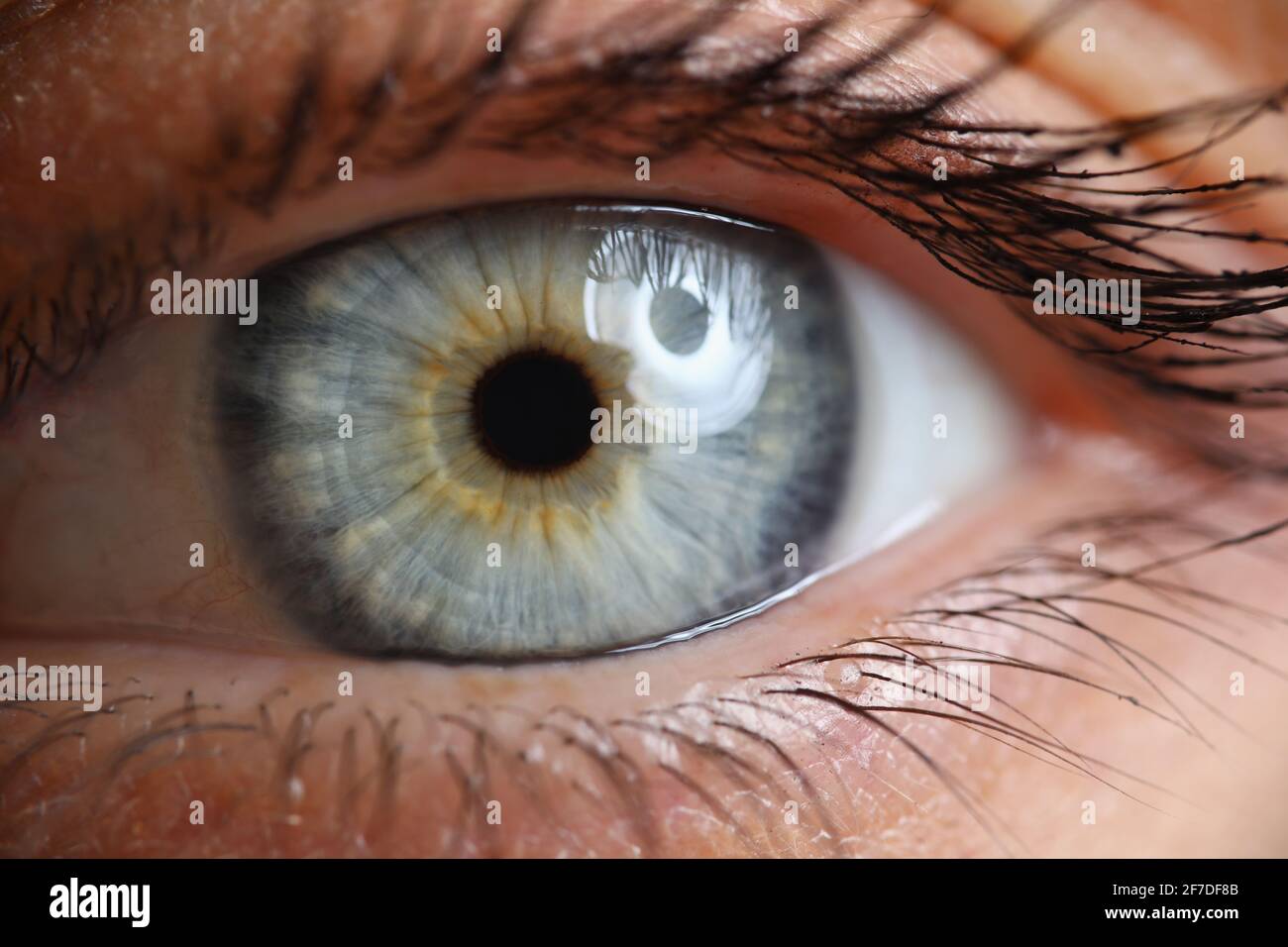 Close-up of female eye. Macro shot of young woman looking and posing on camera Stock Photo