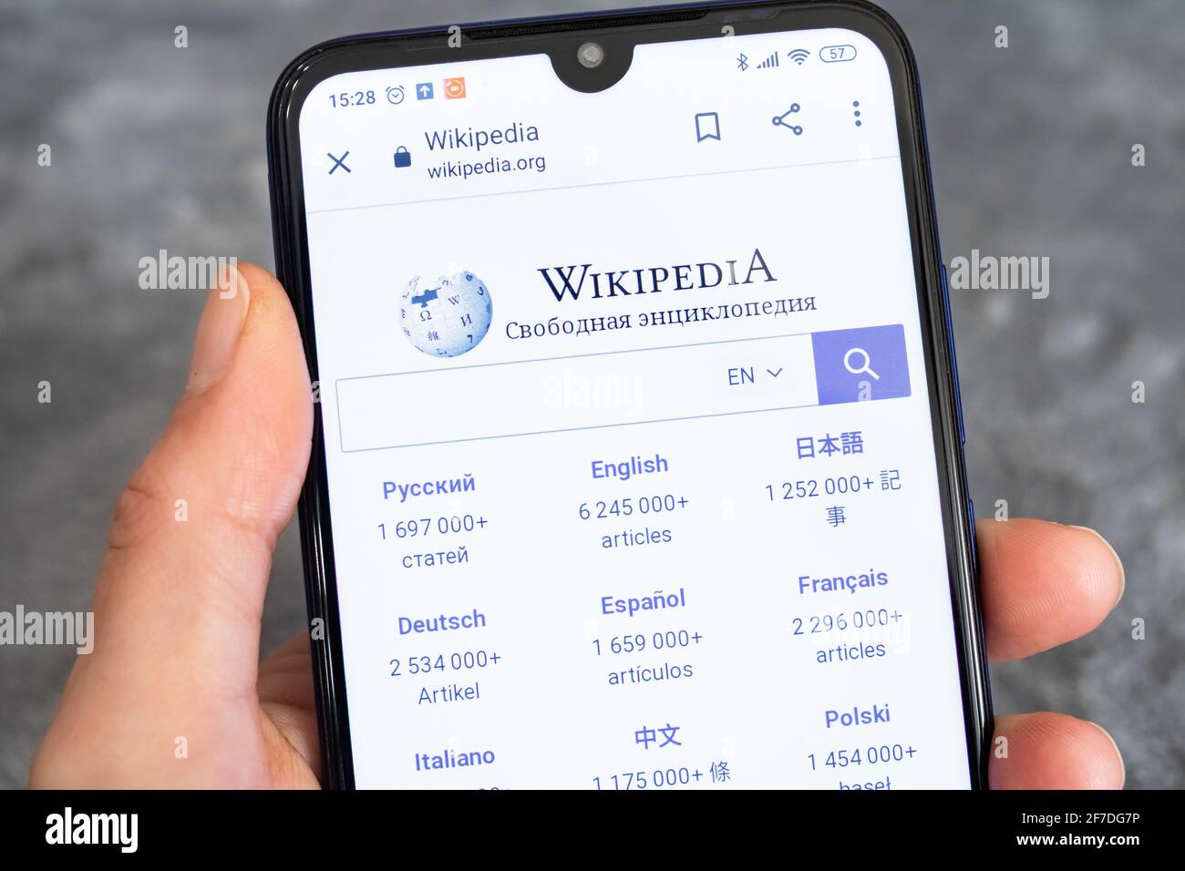 NOVOPOLOTSK, BELARUS - 06 FEBRUARY, 2021: Phone in hand and wikipedia logo on display close up Stock Photo