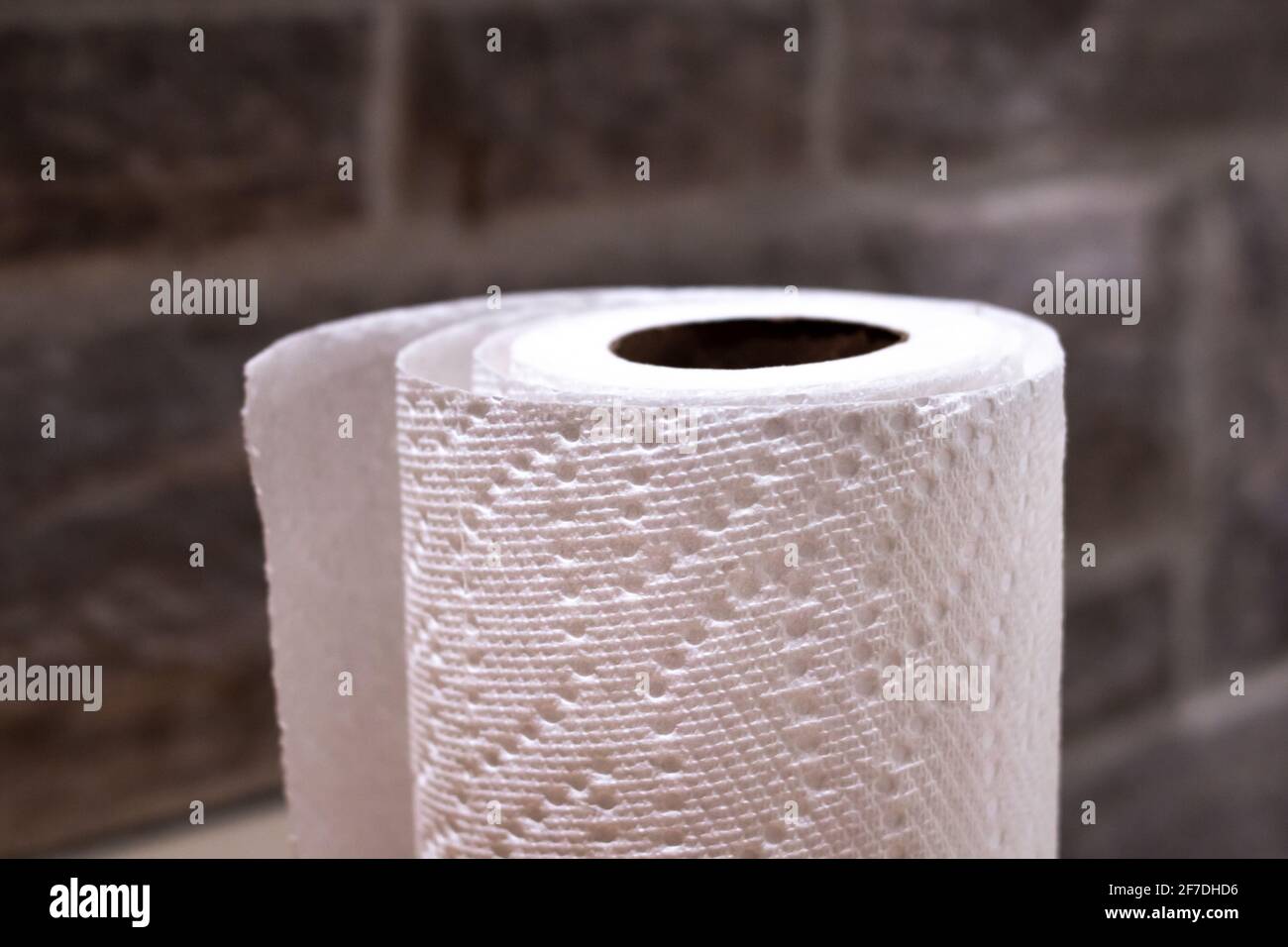 Crisp white roll of paper towel, Toronto, Canada. Cleaning supplies for COVID-19 pandemic. Stock Photo