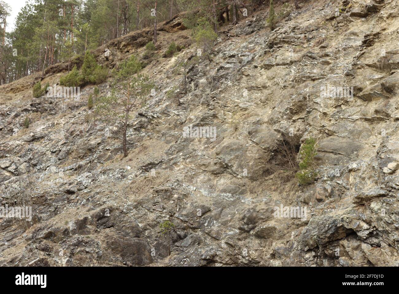 Part of Steep mountainside with open talus slopes Stock Photo