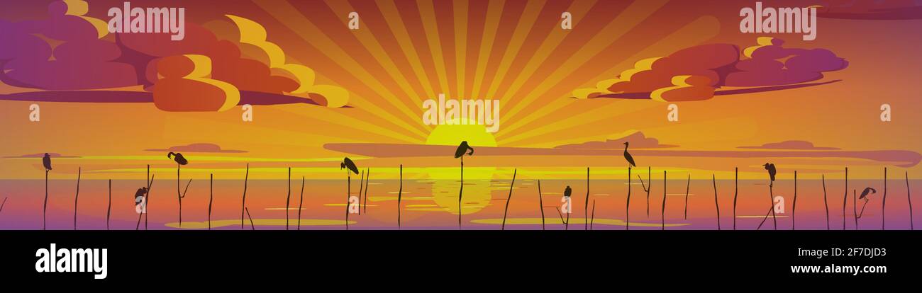 Sunset with birds on the beach.  Stock Vector